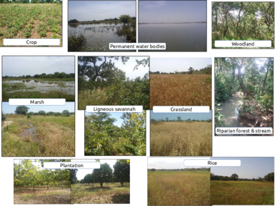 pictures_landcover_classes.pdf