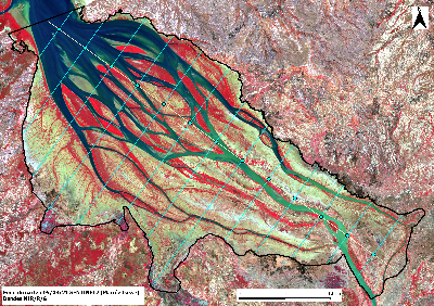 DIDEM_Betsiboka_Delta_07_Transects_2.jpg