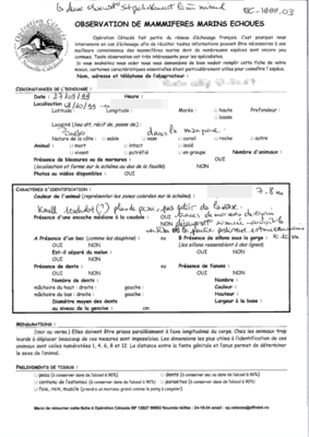 EC1999-03-01-FE.pdf