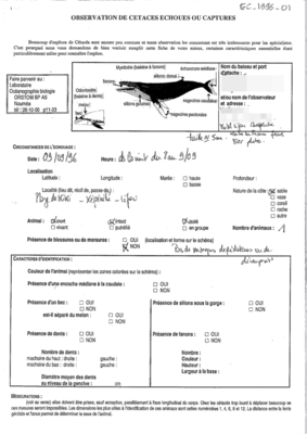 EC1996-01-01-FE.pdf