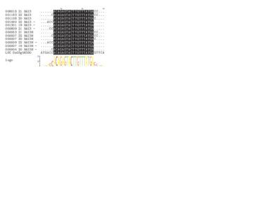 PHIM_ xisRNA_xisRNA009_majorUniqueReadsMsa.pdf