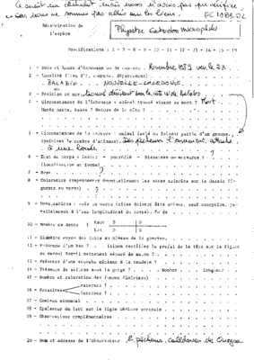 EC1989-02-01-FE.pdf