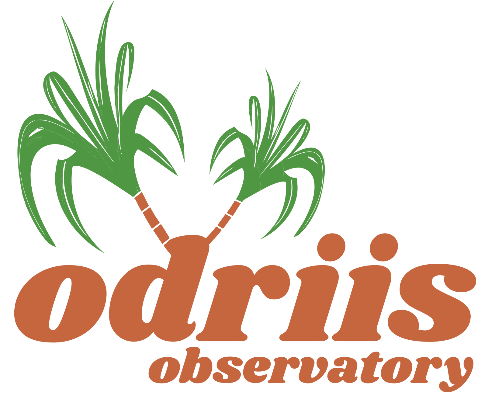 Observatory of Rural Dynamics and Inequalities in South India (ODRIIS) logo